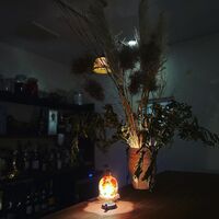 画像1517