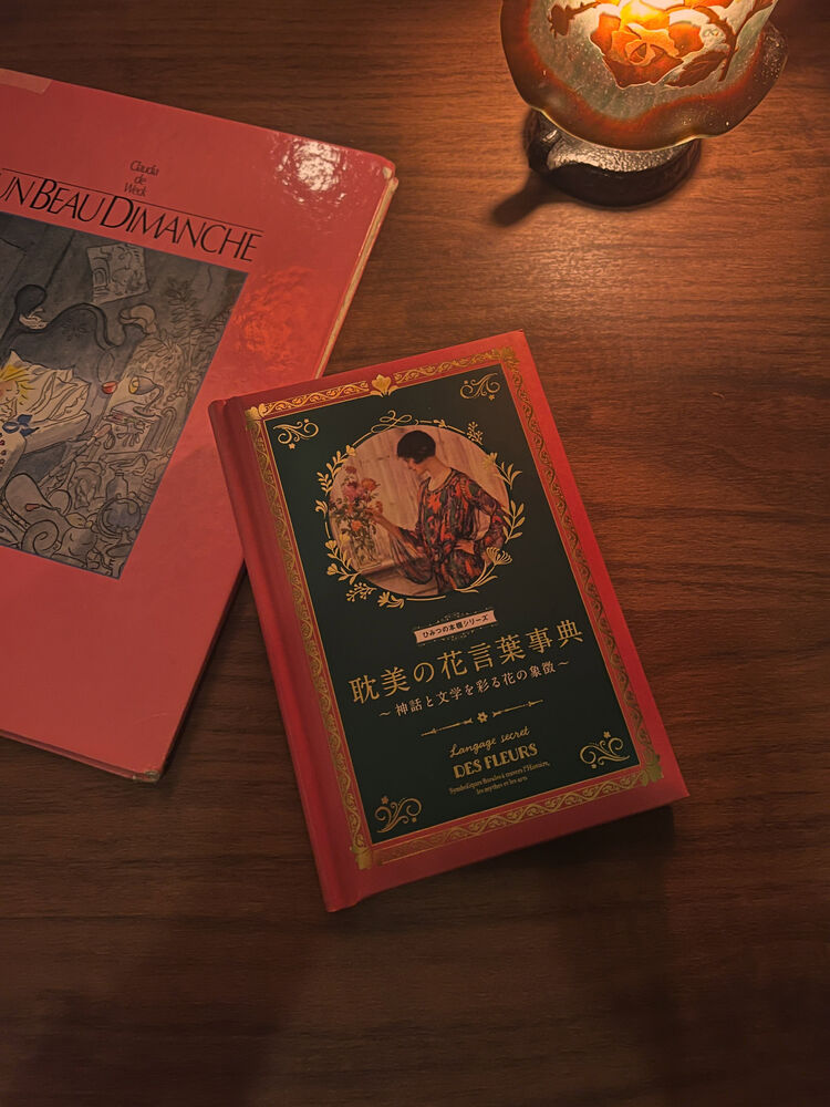 画像3051